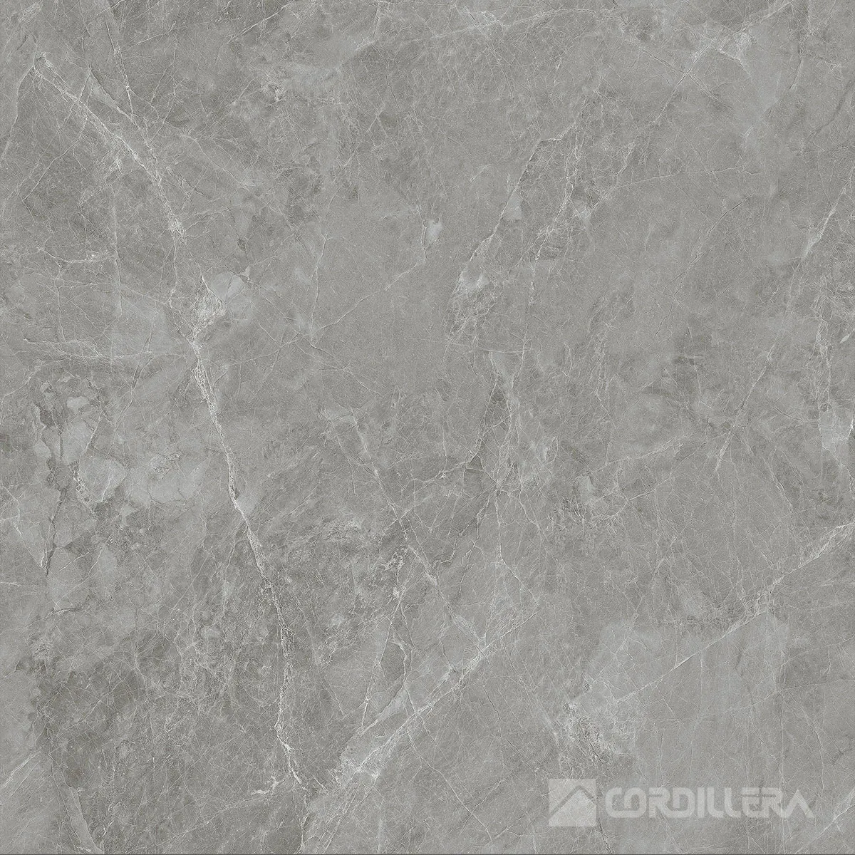 Cordillera-Cemento-Graffito-Zoom.jpg Gres Porcelanico Graffito 60x60 - Imagen 1